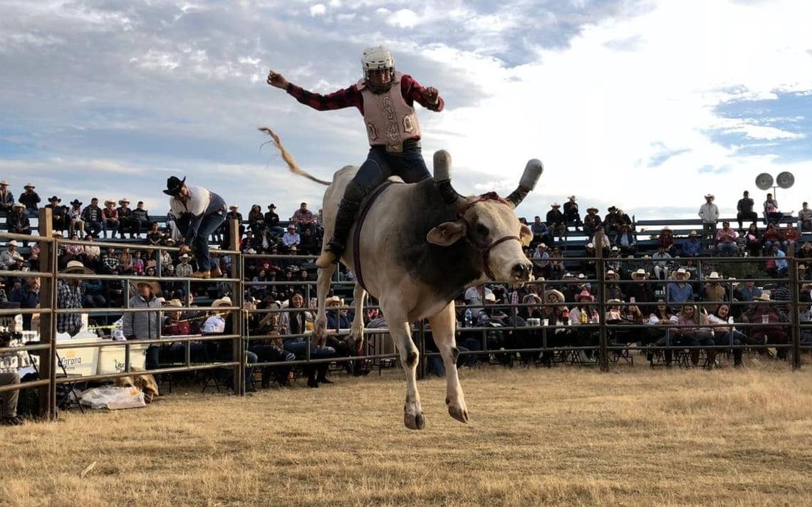 cultura jaripeo espectáculo de toros streaming para no extrañar la expo el rey rancho el zapote